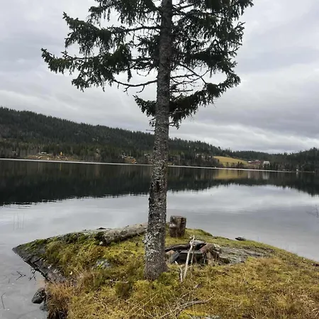 Ramstadbu -hytte Ved Vannet Nær Trondheim, 4 Soverom Soknedal
