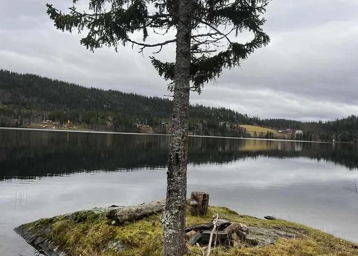 Ramstadbu -lake Near Trondheim, 4 Bedrooms Soknedal